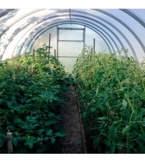 Szklarnia "Mocna 40C"